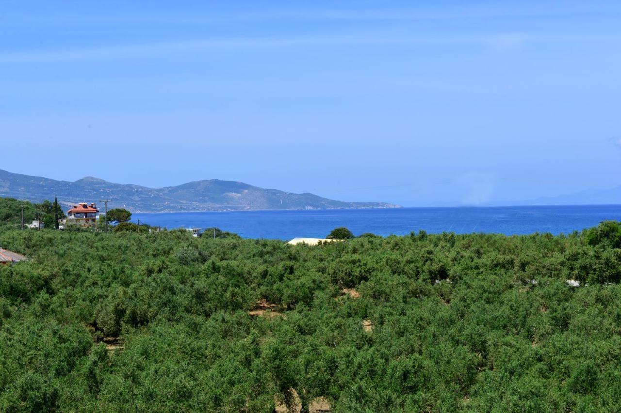 Asteria Apartments Zakynthos stad Exteriör bild